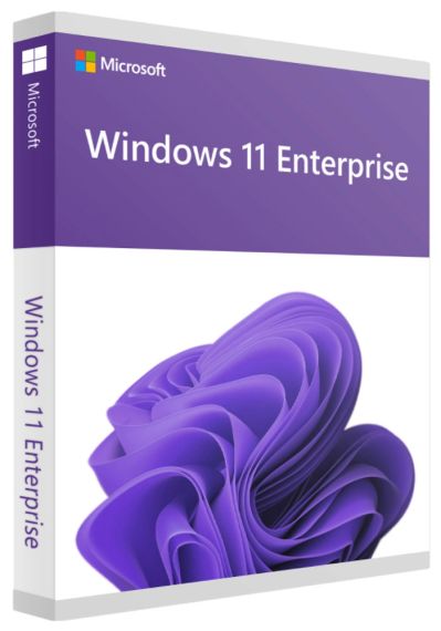 Windows 11 Enterprise (20 PC)