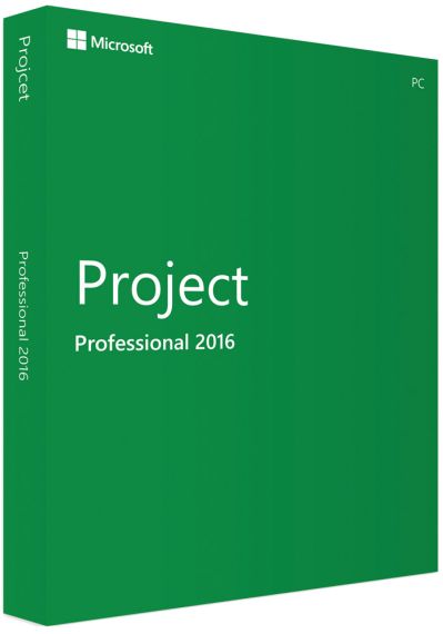 Project 2016 Professional